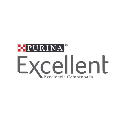 Logo de Excellent